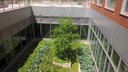 The Interior Courtyard Garden--Silberman School of Social Work