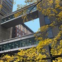 Hunter College Sky Bridge